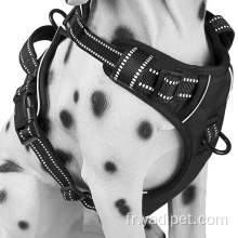 Harnais de gilet de marche pour chien